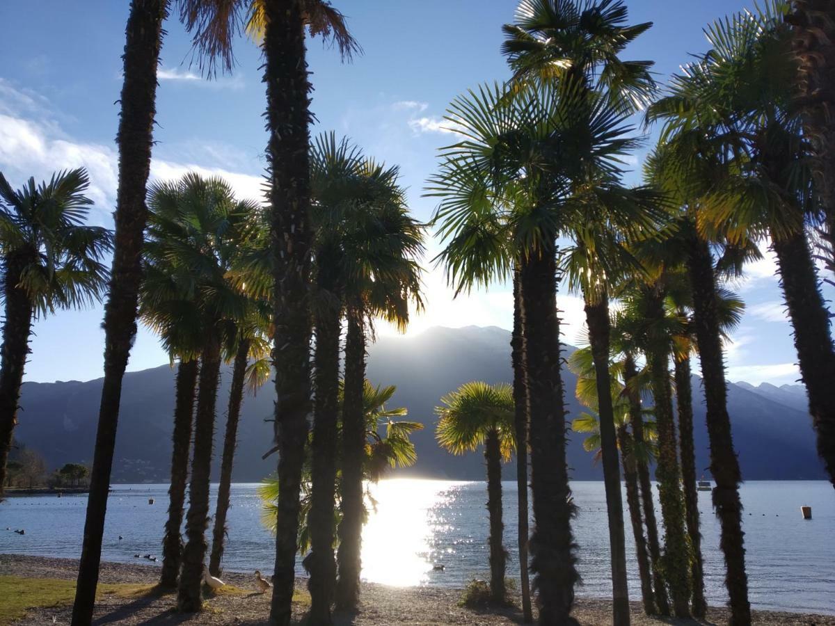 Appartamento Silvy Riva del Garda Exterior foto